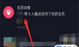 抖音随拍怎么看访客记录