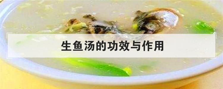 生鱼汤的功效与作用