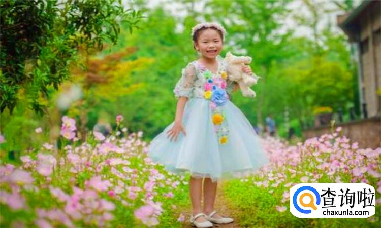 吾家有女初长成下一句