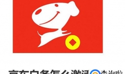 京东白条怎么激活额度