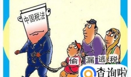 逃税与偷税漏税有何区别