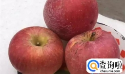 被冻过的苹果还能吃吗
