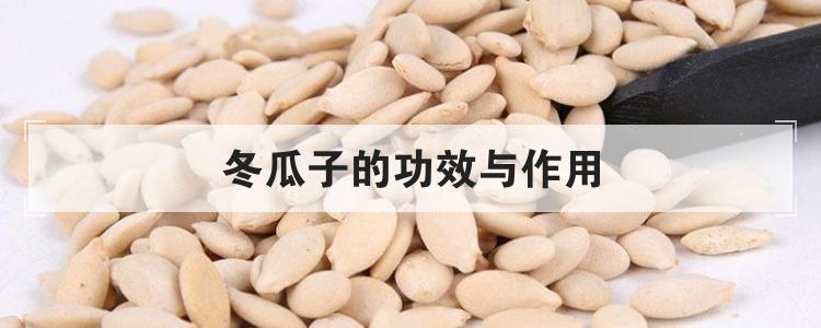 冬瓜子的功效与作用