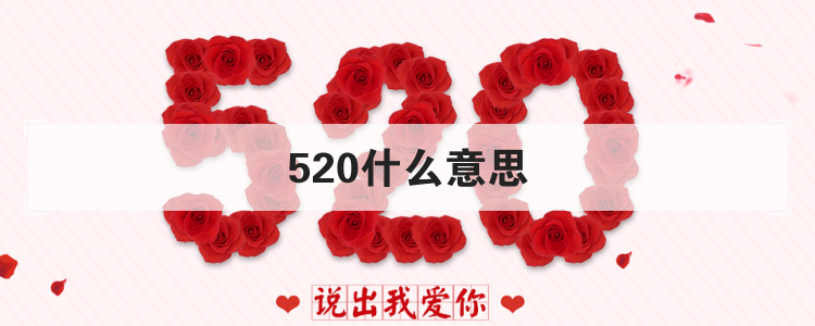 520什么意思