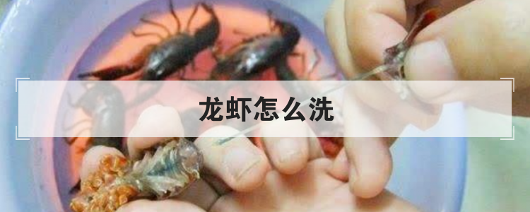 龙虾怎么洗