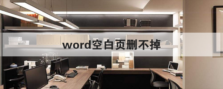 word空白页删不掉