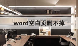 word空白页删不掉