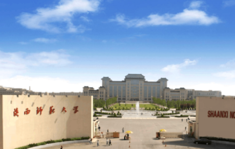 美术生可以考什么大学