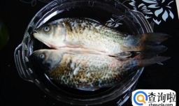 怎么做干烧鲫鱼