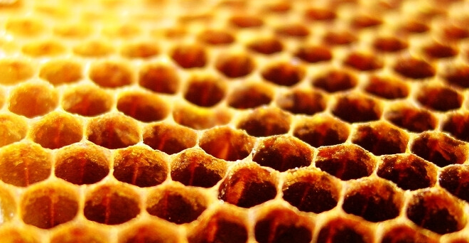蜂房的功效与作用