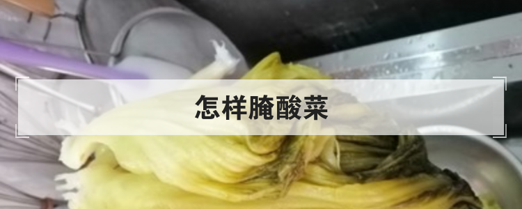 怎样腌酸菜br