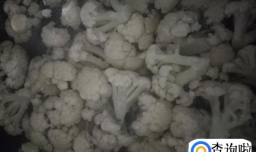 怎么做炒菜花