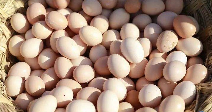 鸡蛋和鹅蛋的营养价值有什么不同