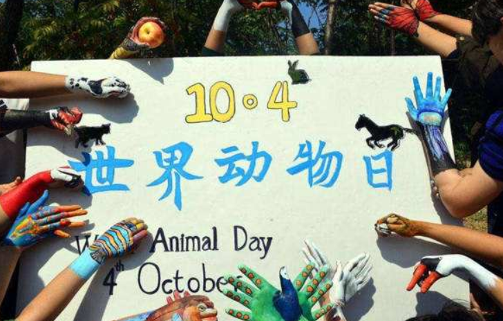 世界动物日的由来