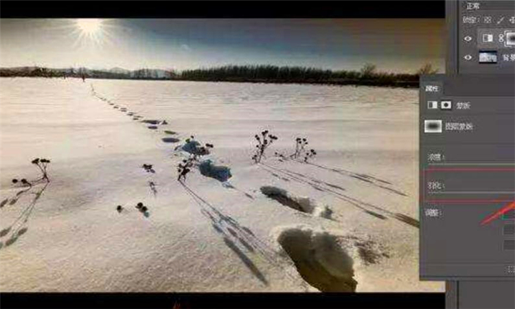 羽化是什么意思