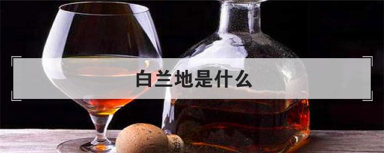 白兰地是什么