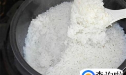 如何用电饭煲煮米饭