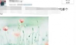 微博如何设置不让别人看我的微博