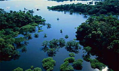 世界流域面积最大的河