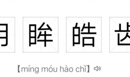 什么眸皓身什么四字成语