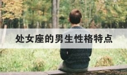 处女座的男生性格特点