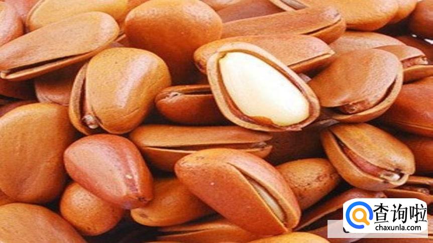 吃松子有哪些健康功效