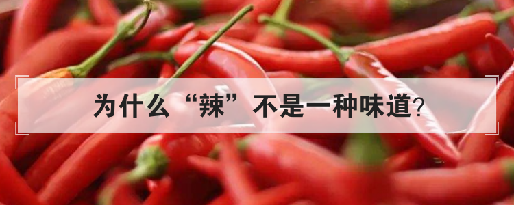为什么辣不是一种味道