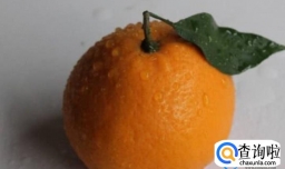 丑橘的催熟方式