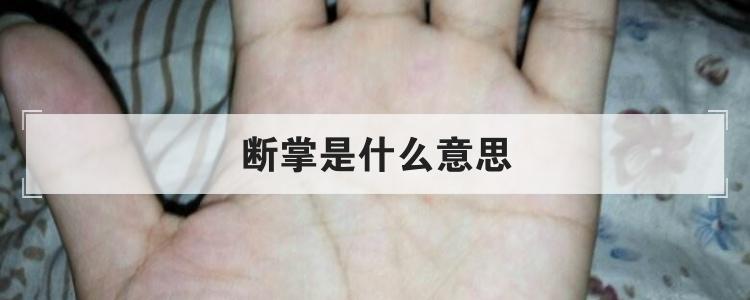 断掌是什么意思