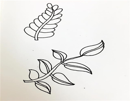 树叶简笔画