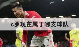 c罗现在属于哪支球队