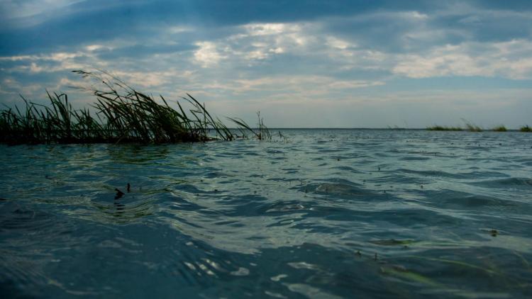中国五大淡水湖是哪些
