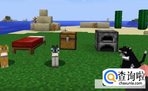 我的世界猫吃什么才能可以驯服