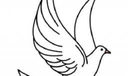 白鸽简笔画怎么画