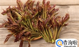 老话说“谷雨吃3宝 不劳医生跑” 3宝指的是啥 老年人别忘记吃