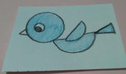 怎么画小鸟步骤教学