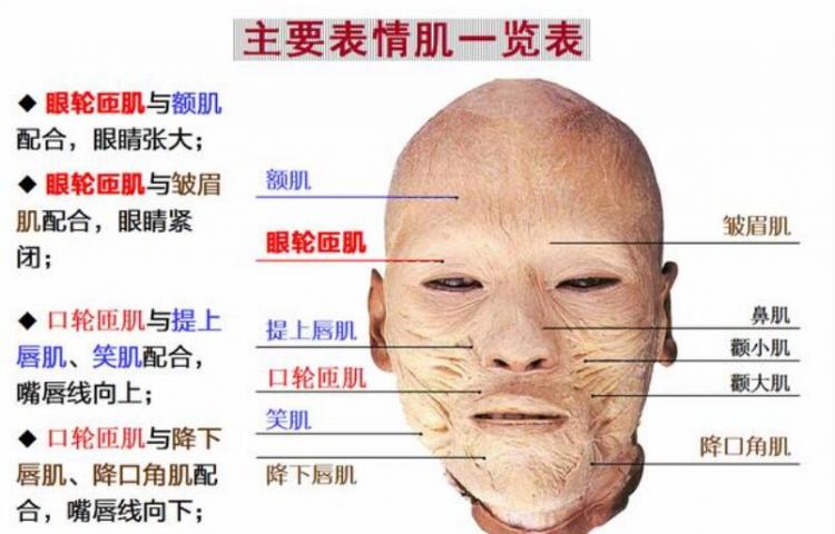 面部表情僵硬怎么训练