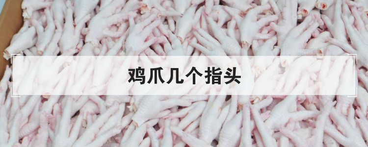 鸡爪几个指头