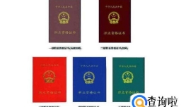 美容师考证需要多少钱？分哪些等级？