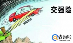 商业险和交强险的区别,买了交强险还有必要买商业险吗