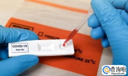 感染过新冠一定有抗体吗会传染吗