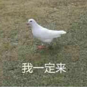 咕咕咕是什么梗