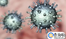 新冠病毒去哪儿了，专家有话说