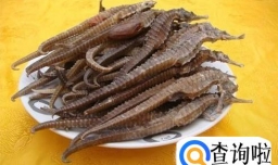 海马的功效作用及做法