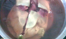 清蒸甲鱼的做法