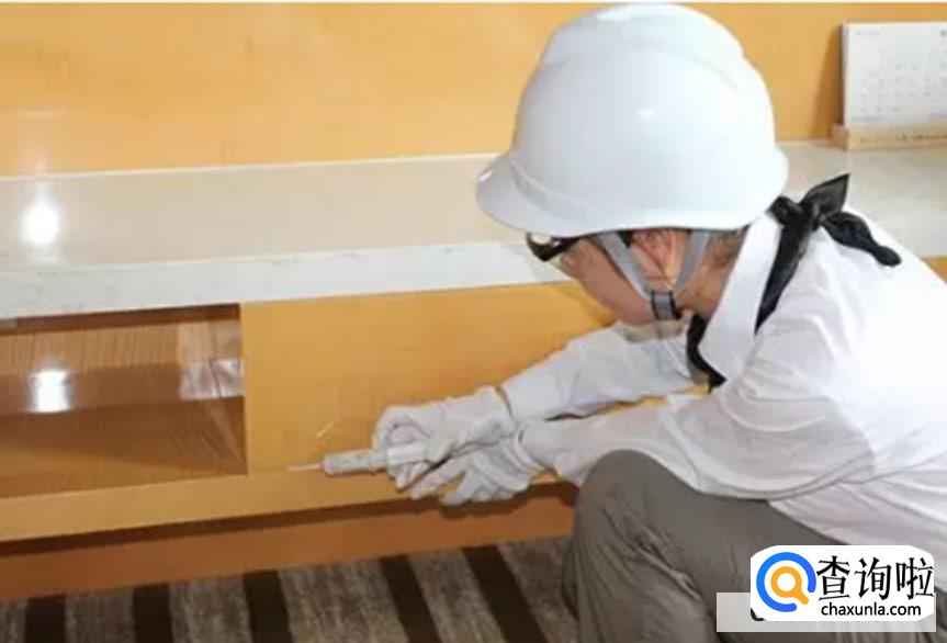 杀蟑胶饵能杀死蟑螂吗