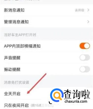 平安好车主怎么开启消息全天免打扰