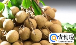 怎样自制桂圆肉