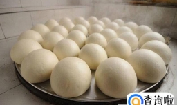 蒸馒头要多长时间