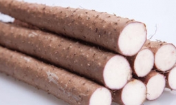 淮山和山药的区别是什么？